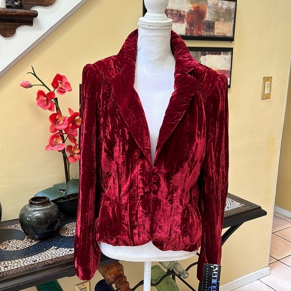 Sandra Darren Y2K Vintage Crushed Red Velvet Fitted Super Soft Blazer Jacket 12